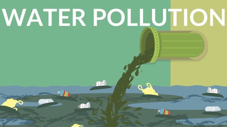 Know About Water Pollution Facts, Causes, Effects & Solutions.